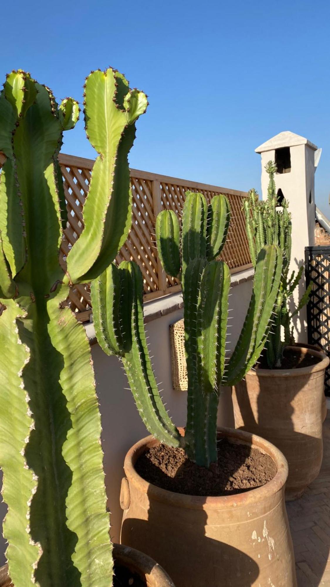 Riad Gasaembre Touareg 마라케시 외부 사진